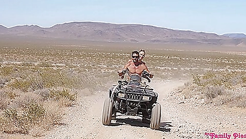 Hairy pussy and anal fucking